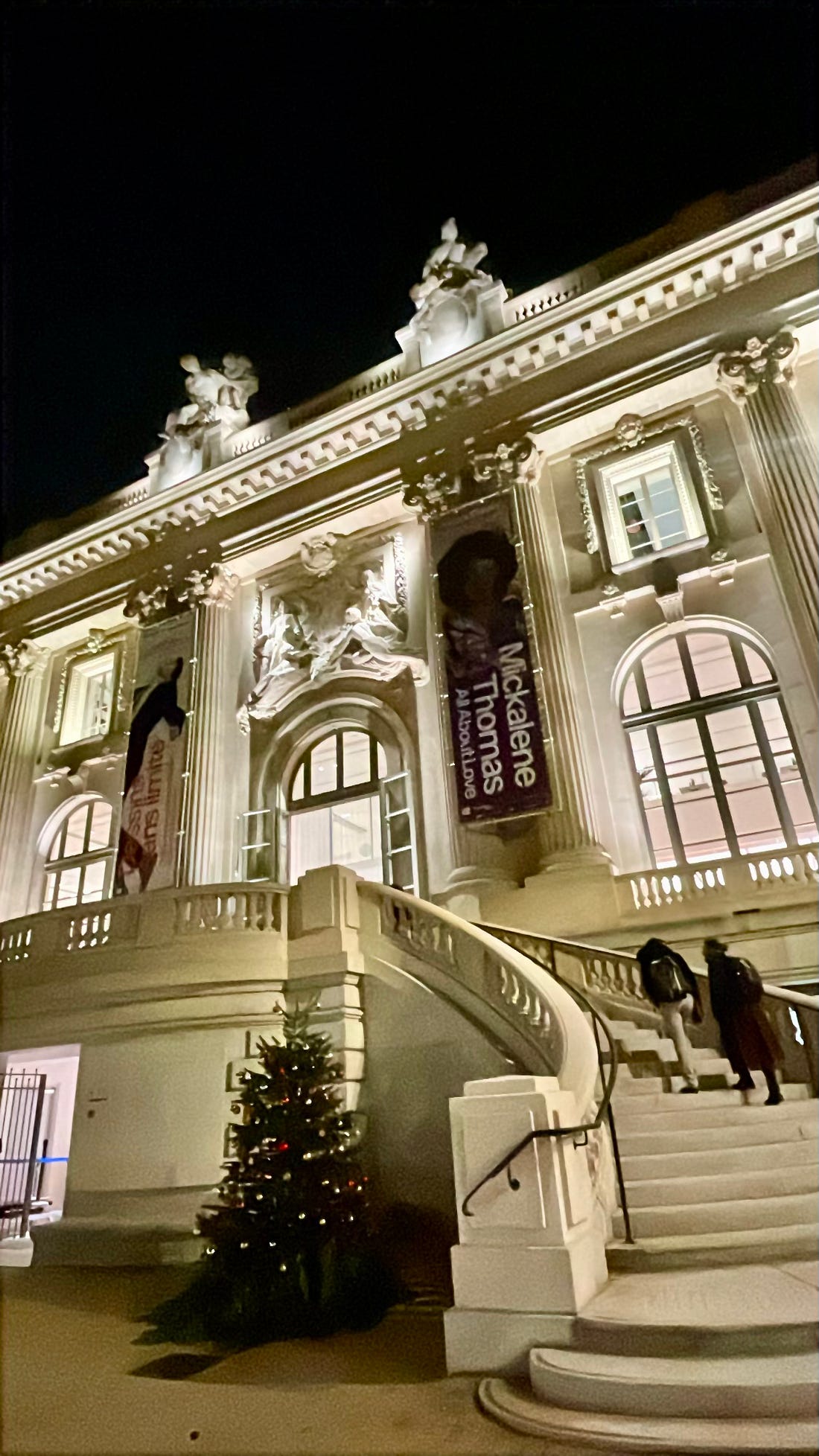 Grand Palais exterior at night with Mickalene Thomas exhibition banners